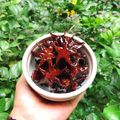 Cooksnap của Rose Truong khi họ làm theo món Mứt ông sao #ngon_ bất_ ngờ luôn