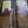 Cooksnap dari Dona Rgt untuk resep Brownies Ny. Liem versi panggang dg modif