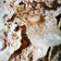 Cooksnap dari Anna Kusrini untuk resep Peyek Udang Renyah