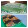Cooksnap dari Mama Rara untuk resep Bolu kukus pandan 1 telur (all in one method)