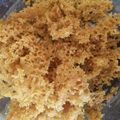 Cooksnap dari Dapur Mama Khanza untuk resep Kremesan no BP,nyarang n kokoh