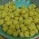 Cooksnap dari Dinnie Doank untuk resep Bakso Ayam