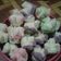 Cooksnap dari Fheetha Nice untuk resep Bolu kukus mekar lembut