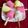 Manashi Saha's cooksnap of when they made ফিরনি আইসক্রিম (Firni Ice-cream recipe in Bengali).