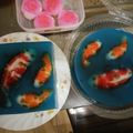 Cooksnap dari Arief Micko Pedrick untuk resep Puding ikan koi