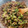 El cooksnap de Yanett Vivanco cuando hizo Ensalada de Coles de Bruselas Asadas con Quinoa.