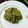 Asma Akter Tuli's cooksnap of when they made টেস্টি বরবটি ভর্তা ✨.