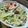کوک اسنپ rezvan Salahi بعد از امتحان کردن سالاد سزار🥗.
