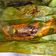 Cooksnap dari Ayu Widiyastuti untuk resep Kembung Pepes Bakar Bumbu Pedas Gurih ala mama
