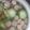 Cooksnap dari Ajeng Irine Puspita untuk resep Sayur Oyong Sosis Bakso