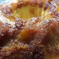 El cooksnap de ISA cuando hizo Torta invertida de manzanas.