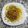El cooksnap de Leo cuando hizo Gulas a la gallega.