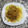 El cooksnap de Leo cuando hizo Gulas a la gallega.