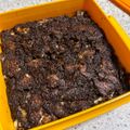 Cooksnap Sarah Othman semasa beliau membuat Kek Batik Milo.