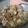 Cooksnap dari Meitasari Naufal untuk resep Ayam saus tiram