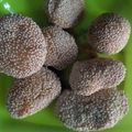Cooksnap dari Dwi Pudji untuk resep Onde-onde wijen isi kacang hijau