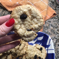 El cooksnap de Agus Calcopietro 💓 cuando hizo Galletas de avena y pasas.