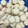 El cooksnap de María Cecilia Herrera cuando hizo Alfajores de maicena deliciosos (versiones con y sin gluten).