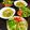 El cooksnap de 🇺🇾 𝓚𝔂𝓸 🇯🇵　🎉JPN-UY 100°ANIVERSARIO 🇺🇾🇯🇵EN 2021🎉 cuando hizo Ñoquis pesto Genovese Japonés NYOQUI GENOVESE🇮🇹🇺🇾🇯🇵ニョッキペストジェノベーゼ.