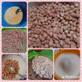 Cooksnap dari Erika ferdiana untuk resep Kacang telur