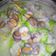 黃惠貞 的 無水燉絲瓜蛤蜊 cooksnap