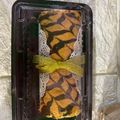 Cooksnap dari Bethania Asmorra untuk resep Bolu gulung ekonomis