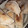 El cooksnap de Carla Ledesma cuando hizo Tapa de empanada casera.