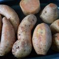 Cooksnap dari Yaniartini untuk resep Ubi Cilembu Panggang (Double Pan/Happycall)