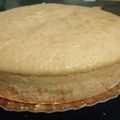 El cooksnap de Angie Dure cuando hizo Bizcochuelo de limón.