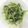 Evelyn Wang 的 燙空心菜 cooksnap