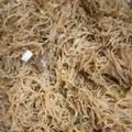 Cooksnap dari iis dwi cahyanti untuk resep Bihun Goreng Jawa