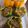 Elyse Rose's cooksnap of when they made Philly Cheesesteak Stuffed Peppers.