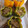 Elyse Rose's cooksnap of when they made Philly Cheesesteak Stuffed Peppers.