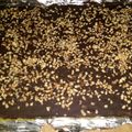 shannon.aguilera's cooksnap of when they made English Toffee.