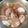 Cooksnap dari Rini Mulyani untuk resep Kerang saus padang