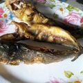 Cooksnap dari Sari Yulianti untuk resep Pecel Lele Lamongan Enak💕