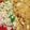 El cooksnap de Patricia Copello cuando hizo Pollo balti con guarnición de arroz.