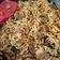 Cooksnap dari Dapur Ummu Bilqis untuk resep Mie goreng ala solaria
