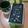 Cooksnap dari Dina A N untuk resep Bolu ketan hitam no mixer no oven cukup blender dan kukus