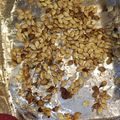 Chef Mommy Nessa's cooksnap of when they made Sweet Toasted Acorn ( Winter ) Squash Seeds.
