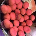 El cooksnap de celeste gordillo cuando hizo Magdalenas/cupcakes (con aceite).