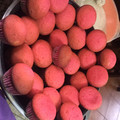 El cooksnap de celeste gordillo cuando hizo Magdalenas/cupcakes (con aceite).