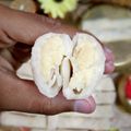 Gopa Datta's cooksnap of when they made ক্ষীরের পাটিসাপটা (khirer patisapta recipe in Bengali).