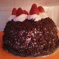 Cooksnap dari Erny Arviyati untuk resep Blackforest strawberry kukus