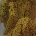 Cooksnap dari Indria Zeindo untuk resep Kremesan Ayam super renyah n kriuk