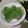 Cooksnap dari Theresia lina untuk resep Puding Lumut Daun Suji