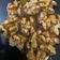 Priyanka Chirayu Oza's cooksnap of when they made ડ્રાય ફ્રુટ ચીકી (Dry fruits Chikki recipe in Gujarati).