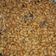 Cooksnap dari Henny Marietha untuk resep Kacang Goreng import