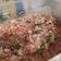 La cooksnap de Daniel Arellano cuando cocinó Ceviche de tilapia Económico