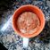 El cooksnap de Ángeles cuando hizo Mug cake de galletas - sin harina.